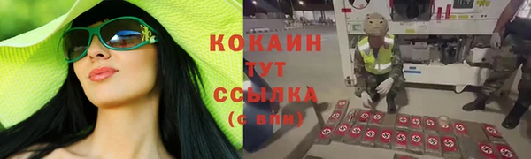 прущие крисы Карпинск