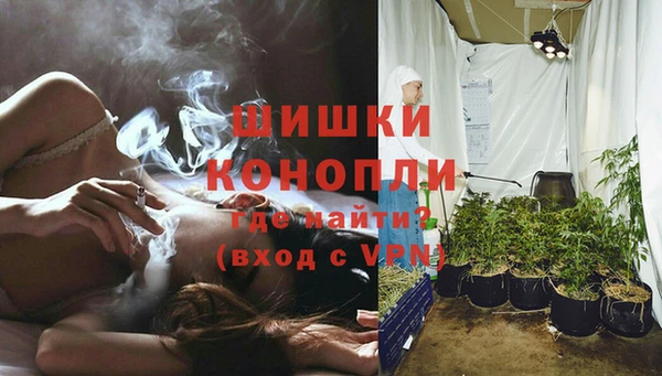 МДПВ Шали