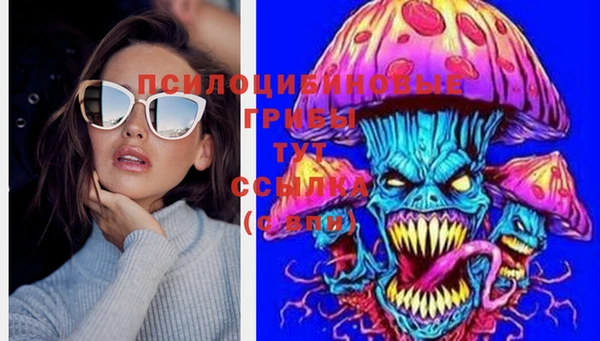прущие крисы Карпинск