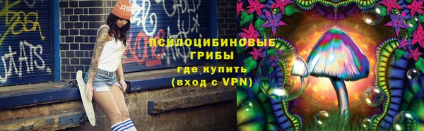 СК Касимов